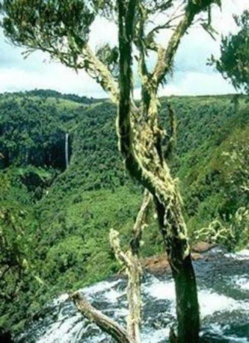 Maverick Camp, Rondavels And Homestay Nyandarua Exterior photo